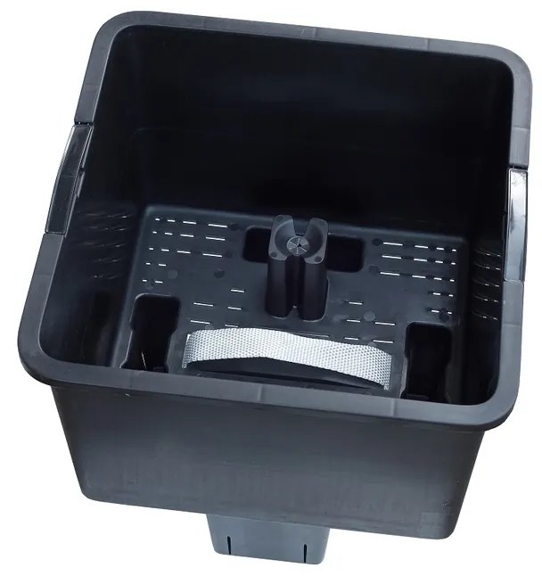 Plastia Plantator cu auto-apărare Berberis TRIO,te rakota