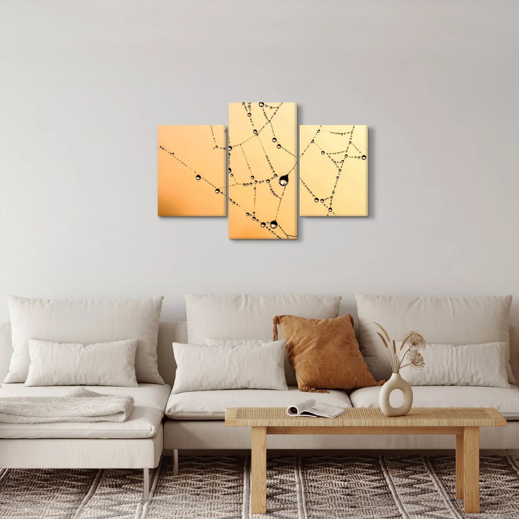 Tablou cu pânză de pâianjen cu rouă (90x60 cm)