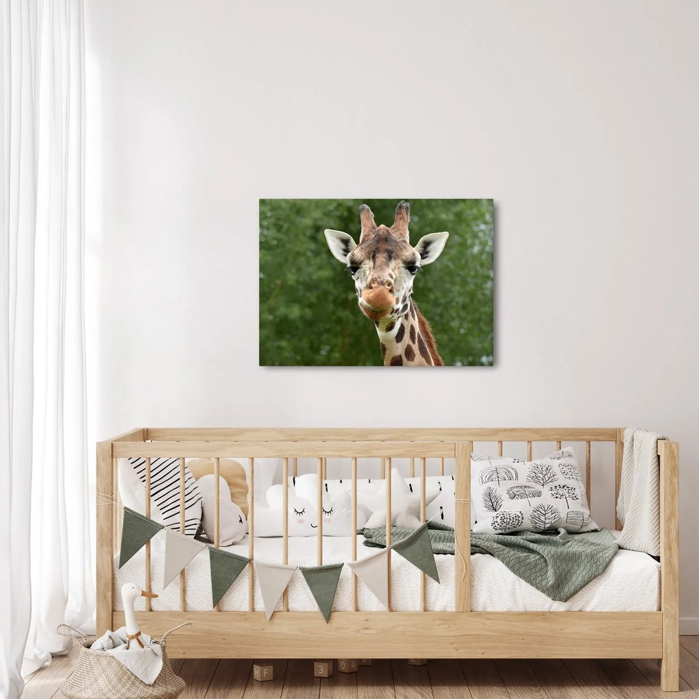 Tablou cu girafa (70x50 cm)
