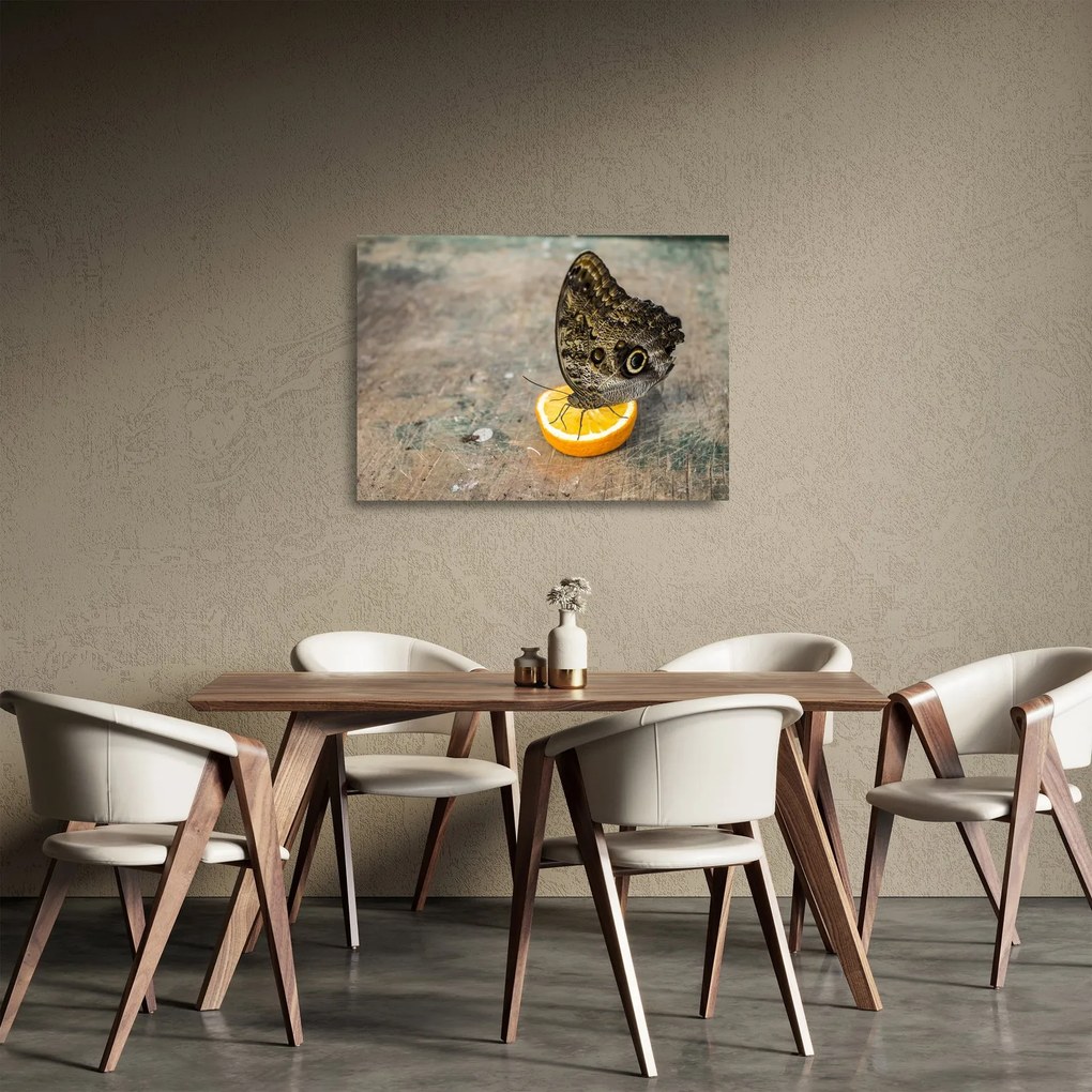 Tablou pe sticlă cu fluturi (70x50 cm)