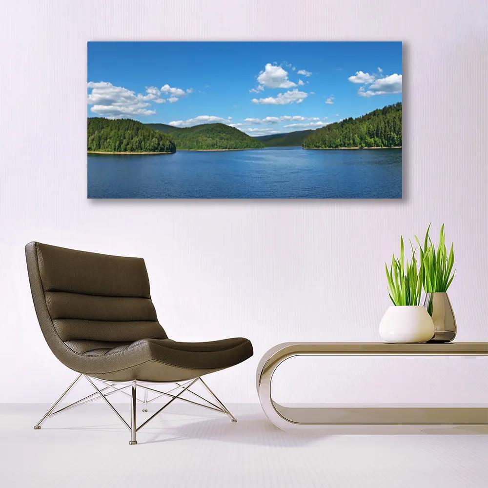 Tablou pe panza canvas Lake Forest Peisaj verde albastru