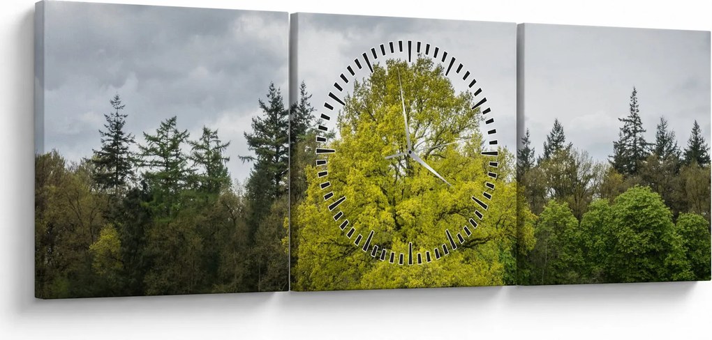 Tablou - Copac verde în câmp (cu ceas) (90x30 cm)
