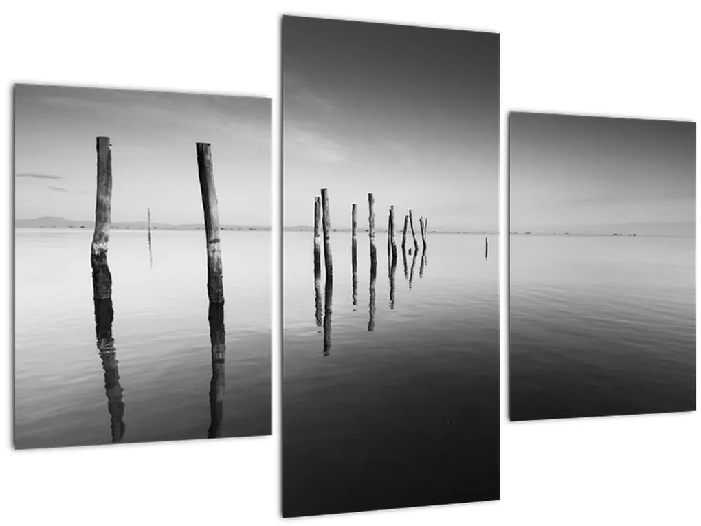 Tablou cu nivelul de lac alb negru (90x60 cm)