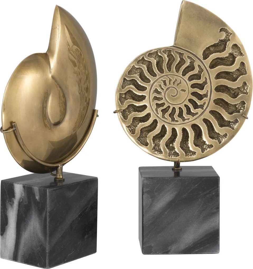 Set 2 obiecte decorative design deosebit LUX Ammonite 113731 HZ