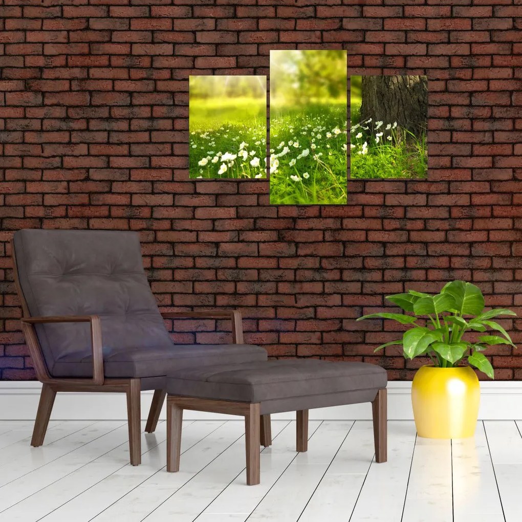 Tablou cu poiana și flori (90x60 cm)