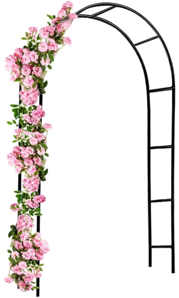 Suport arcuit pentru trandafiri 240x140x37 cm Gardebruk