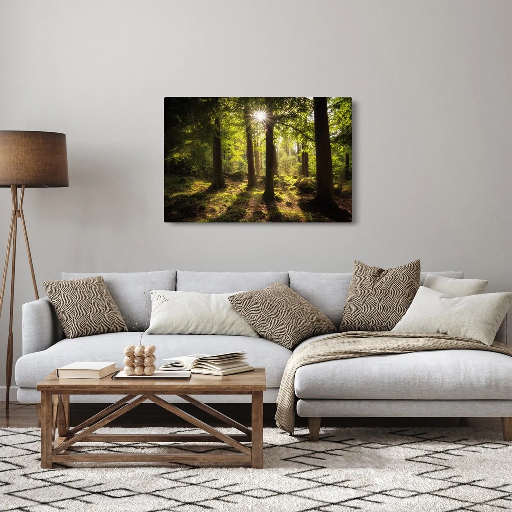 Tablou - Pădurea de vis (90x60 cm)