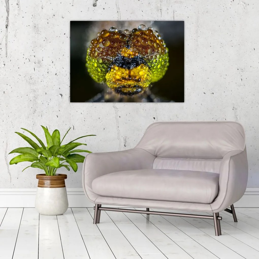 Tablou pe sticlă detailat cu ochii de omidă (70x50 cm)