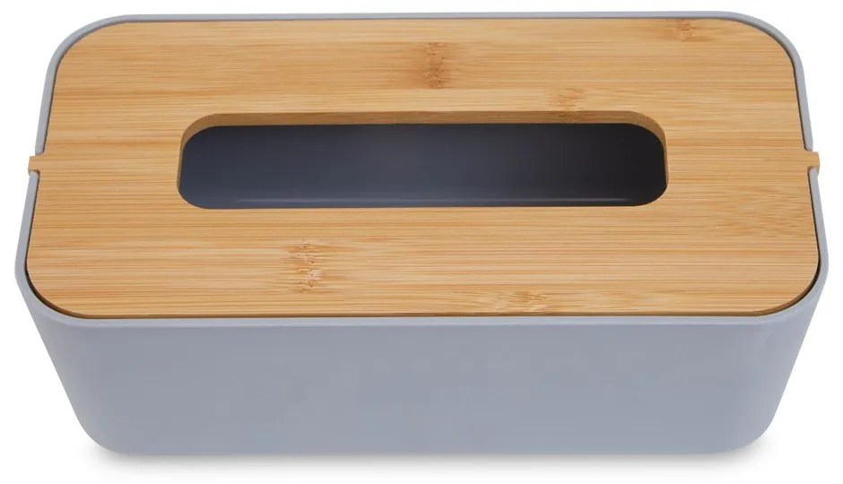 Cutie pentru șervețele din plastic Canyon – Premier Housewares