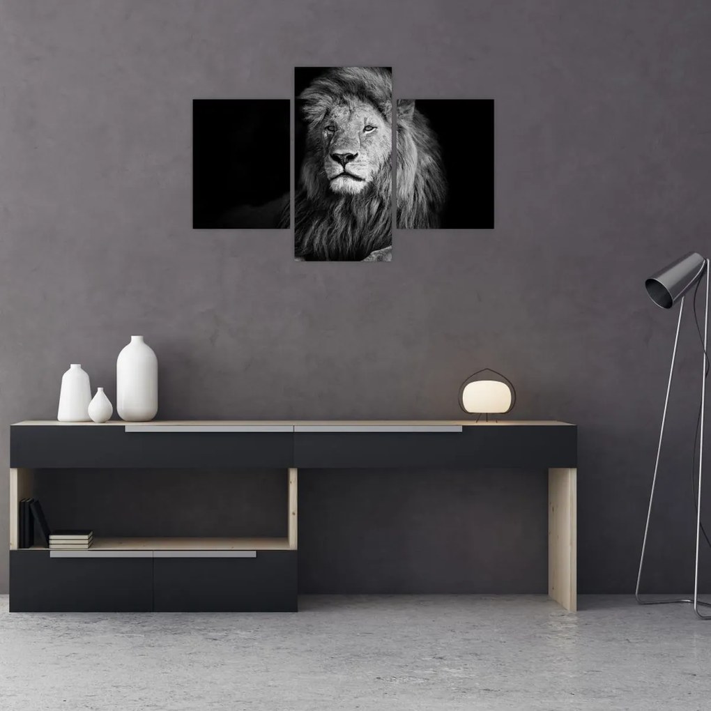 Tablou - Leu, alb și negru (90x60 cm)