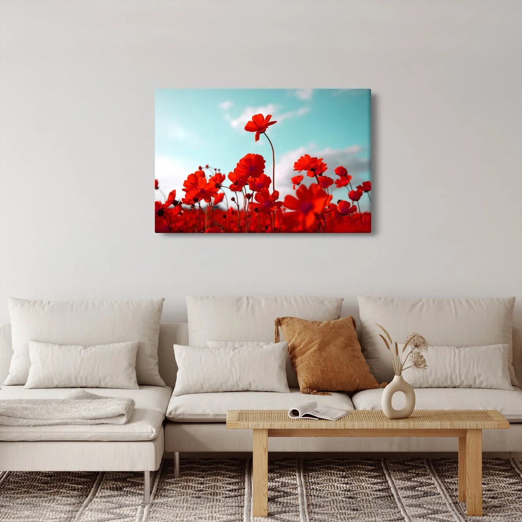 Tablou - Câmp cu flori roșu deschis (90x60 cm)