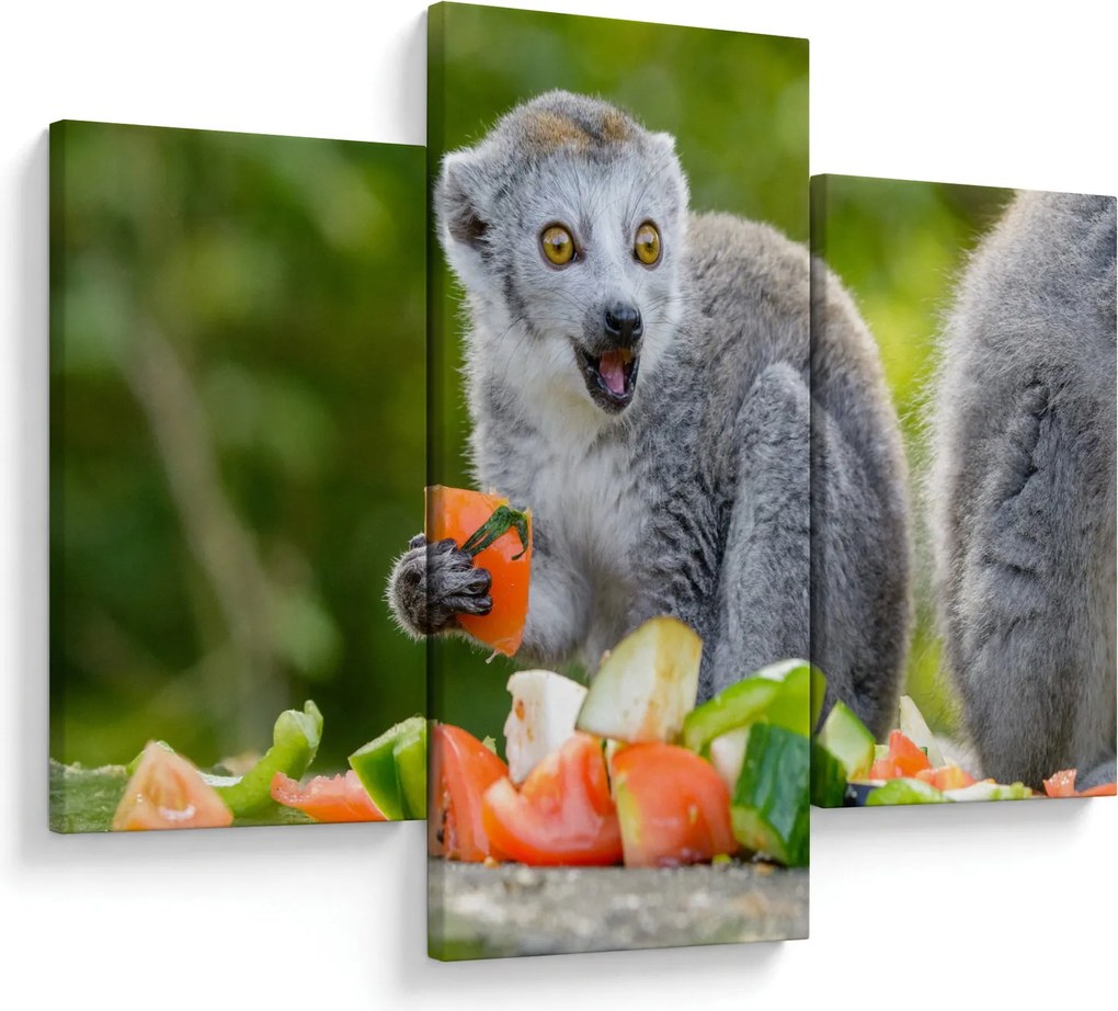 Tablou cu lemur (90x60 cm)