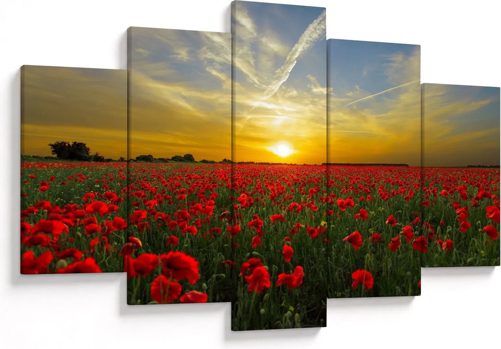 Tablou cu câmp cu maci (150x105 cm)