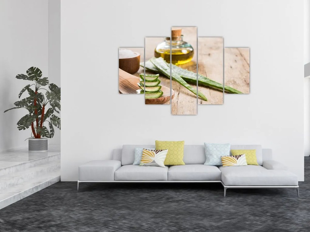 Tablou - Aloe vera (150x105 cm)