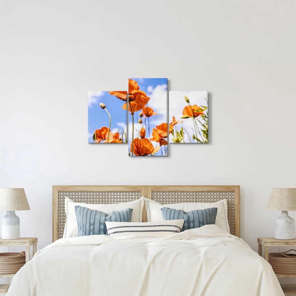 Tablou cu macii (90x60 cm)