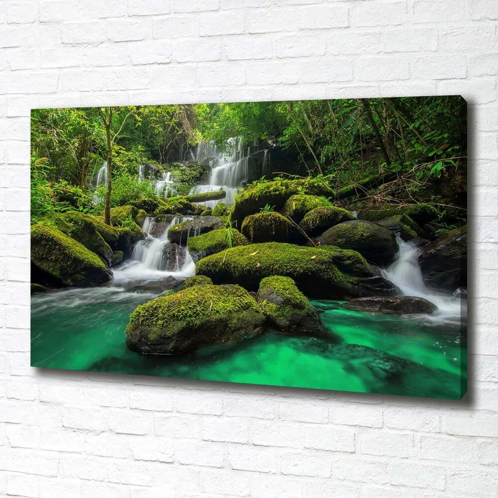 Tablouri tipărite pe pânză Cascada din pădure