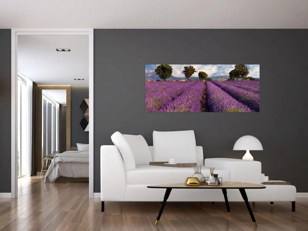 Tablou - câmp de lavandă și munți (120x50 cm)