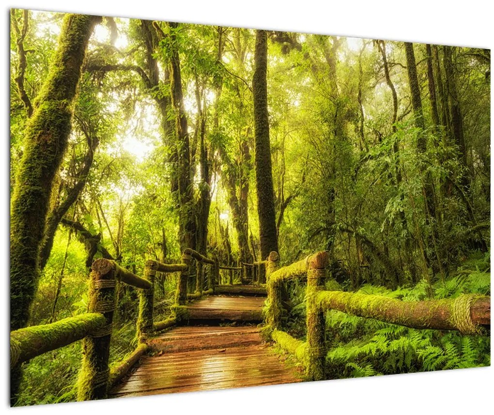 Tablou junglei cu mușchi (90x60 cm)