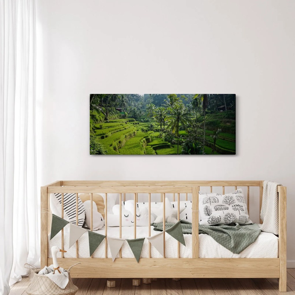 Tablou cu terasele cu orez Tegalalang, Bali (120x50 cm)