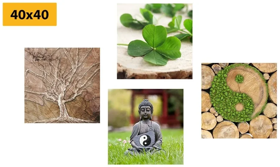 Set tablouri Feng Shui cu elementele naturii