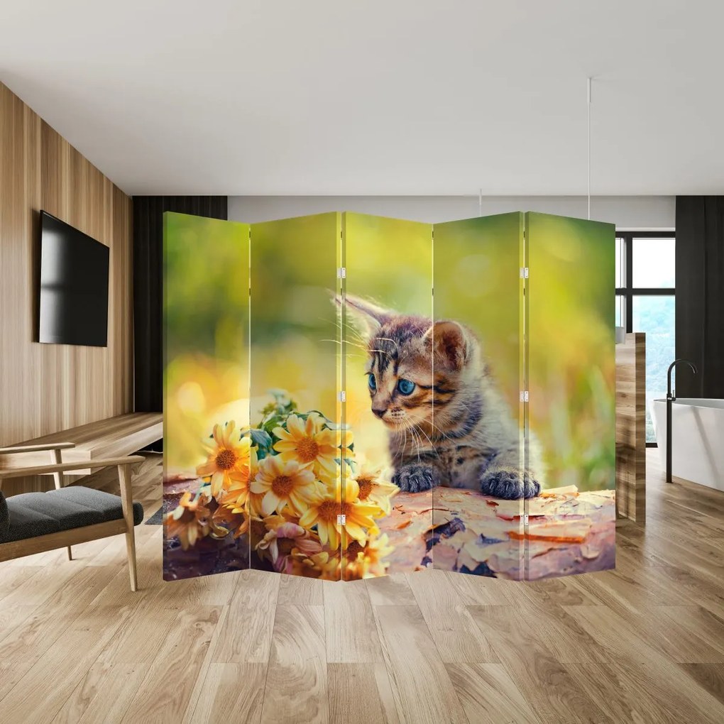 Paravan - Pisicuța uitându-se la floare (210x170 cm)