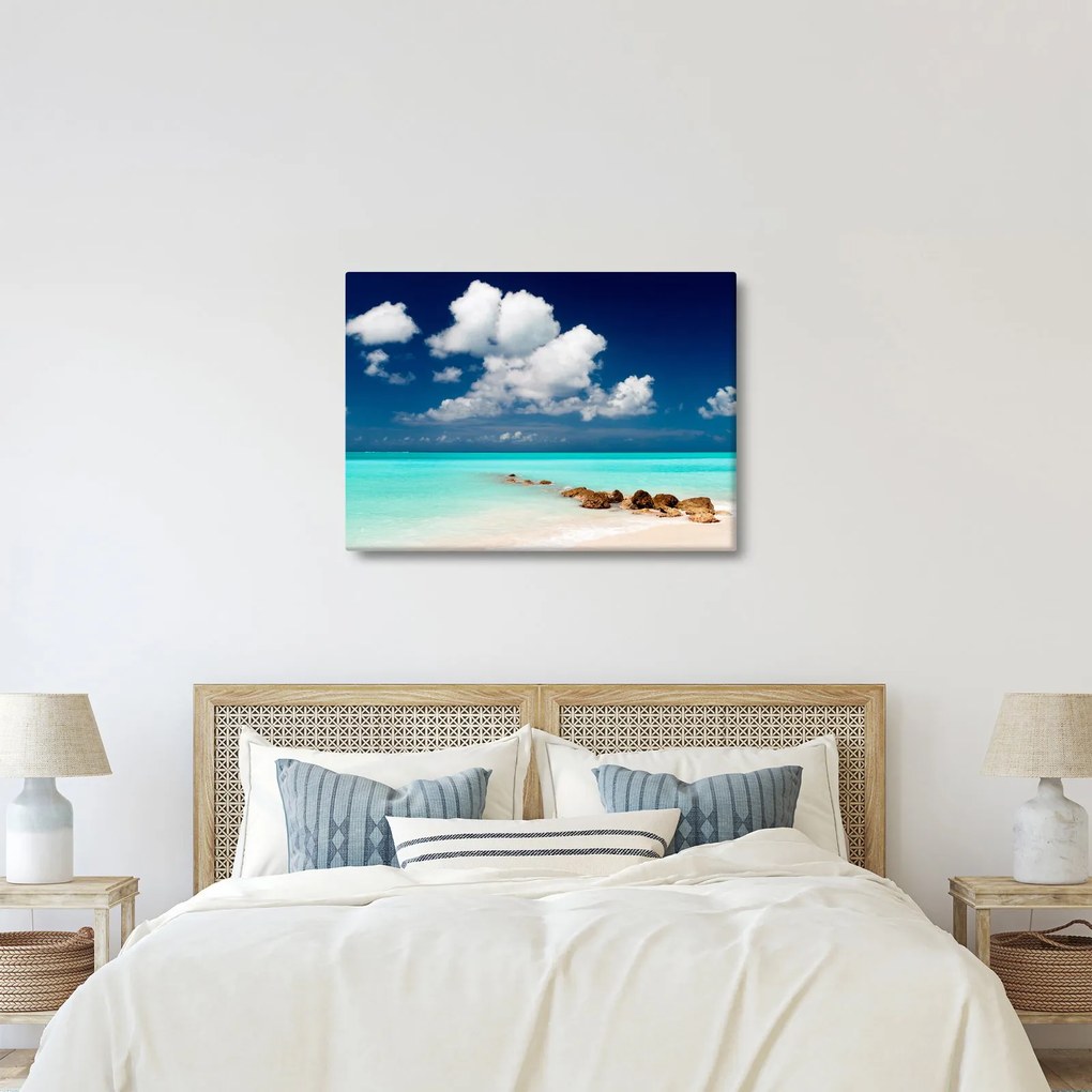 Tablou cu mare (70x50 cm)