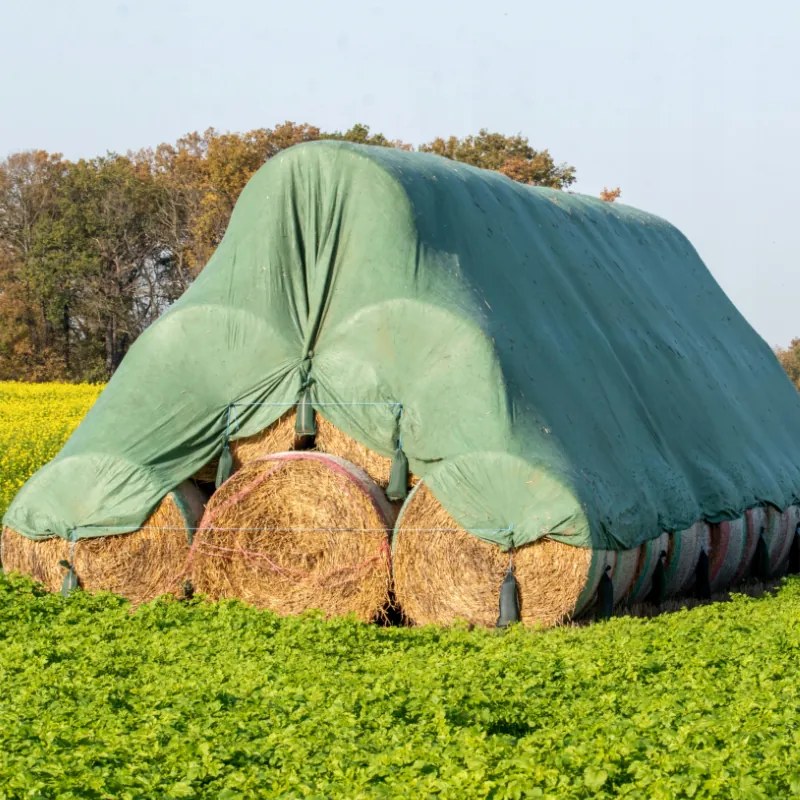 Prelată verde-argintie rezistentă la îngheţ 10m x 15m