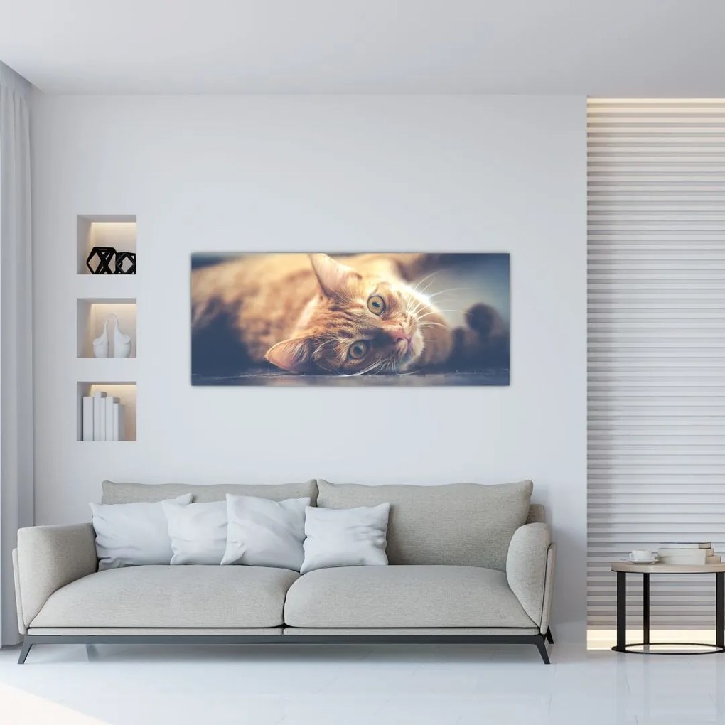 Tablou - Pisici pe podea (120x50 cm)