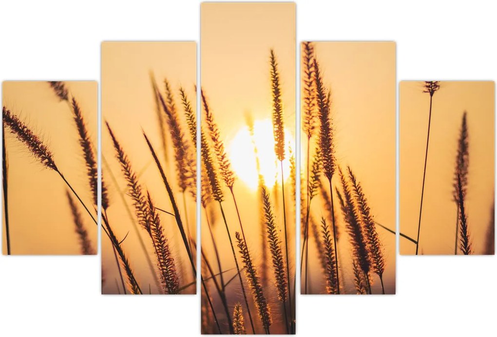 Tablou - Iarbă la soare (150x105 cm)