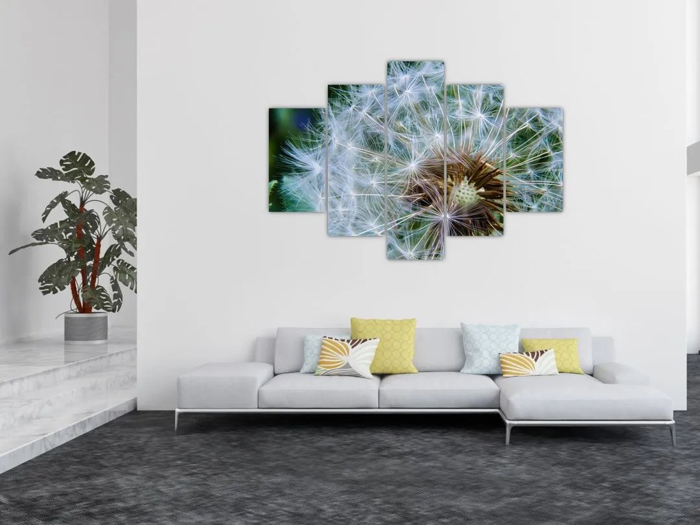 Tabloul cu păpădie desflorit (150x105 cm)