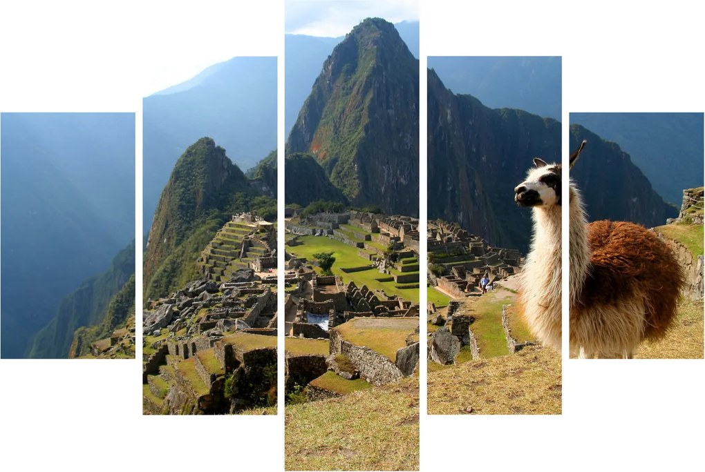 Tablou - Lama și Machu Picchu (150x105 cm)