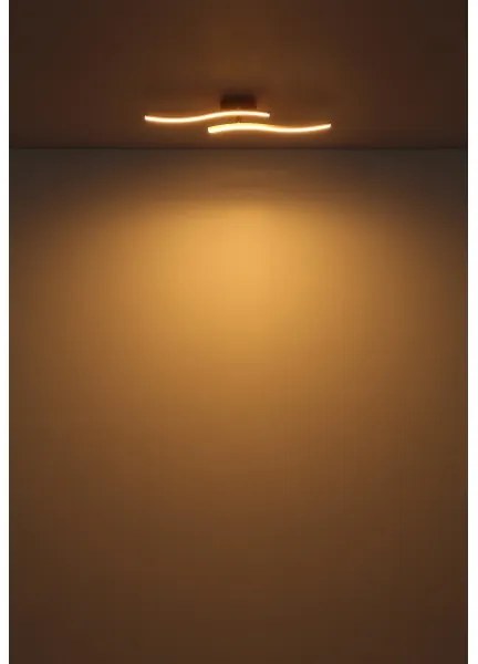 Lustră LED aplicată Globo 67178W TYLER LED/12W/230V