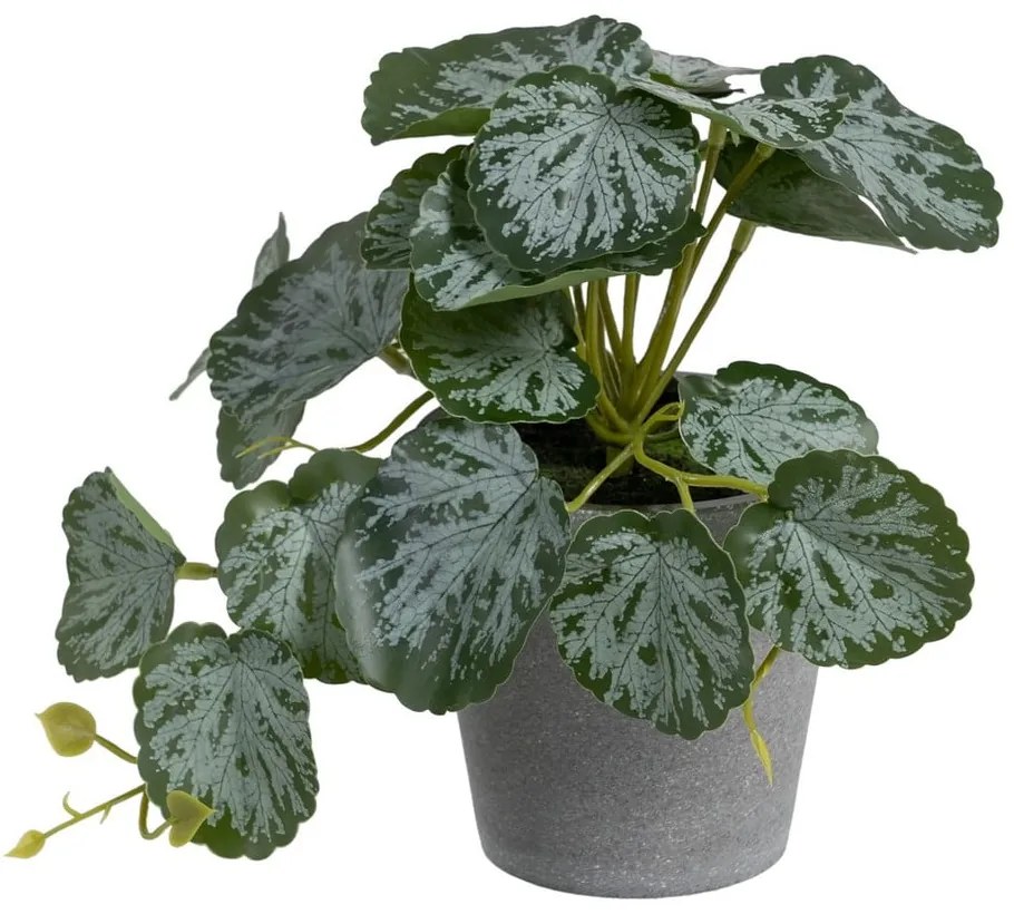 Plantă artificială (înălțime 21,5 cm) Saxifraga – Ixia