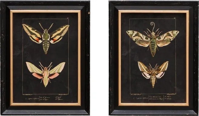 Set 2 tablouri, "Butterfly"