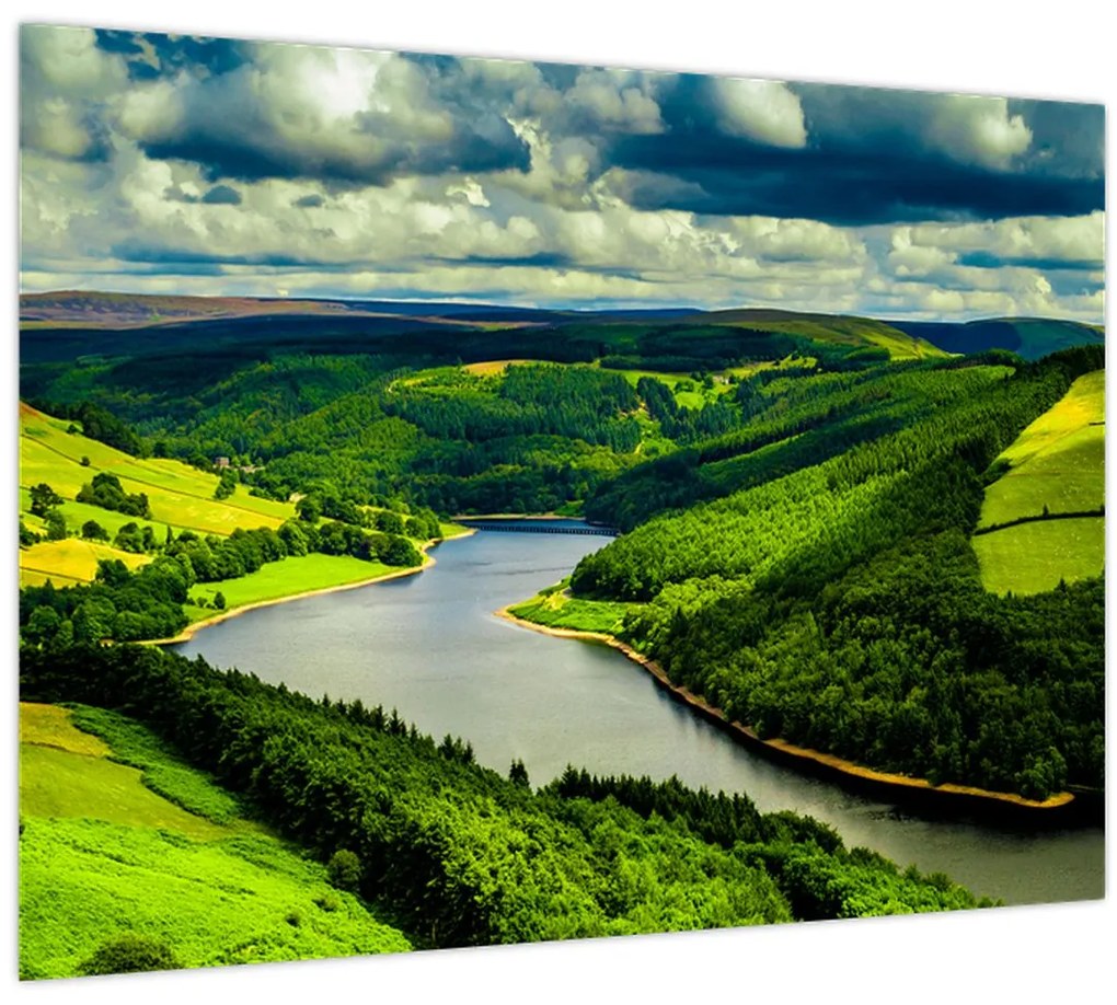 Tablou - Peisaj verde (70x50 cm)