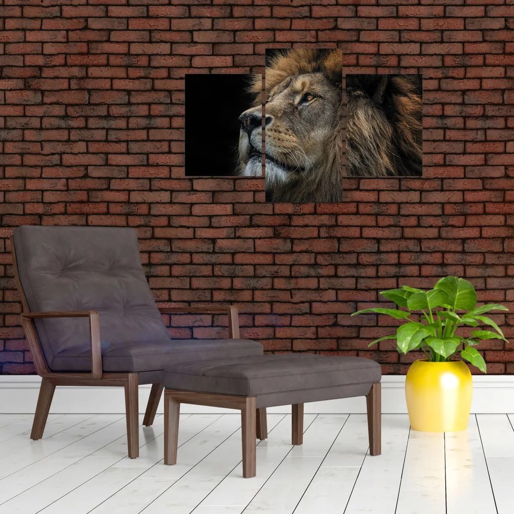 Tablou - Leul maiestuos (90x60 cm)