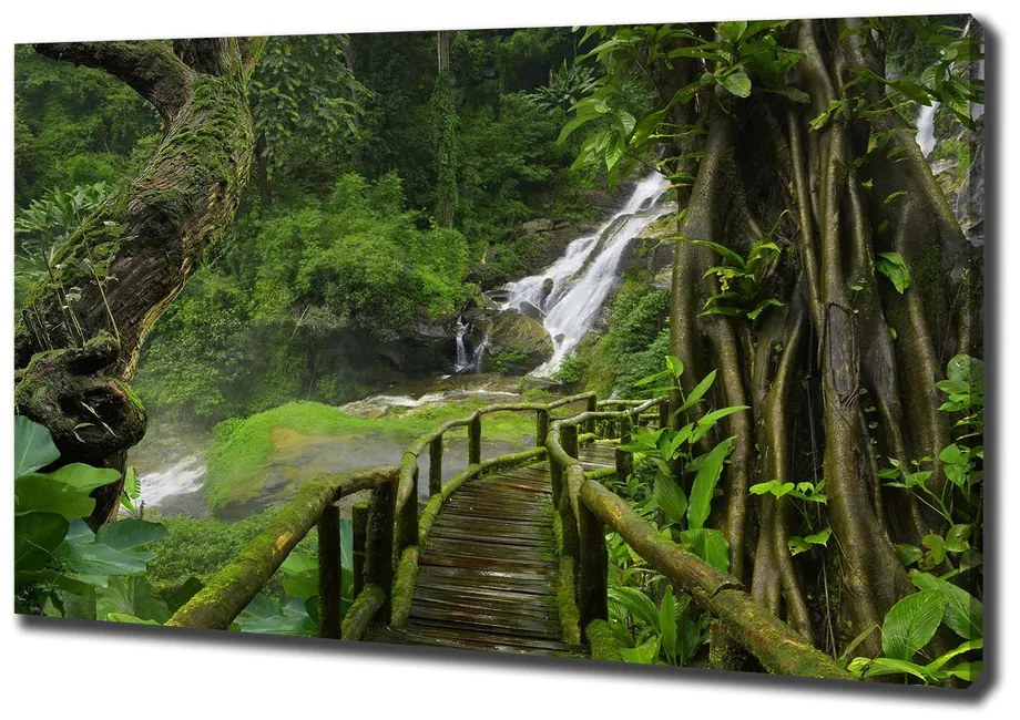 Tablouri tipărite pe pânză Cascada din junglă