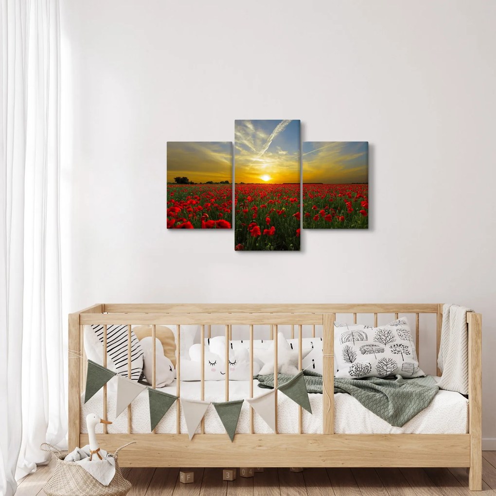 Tablou cu câmp cu maci (90x60 cm)