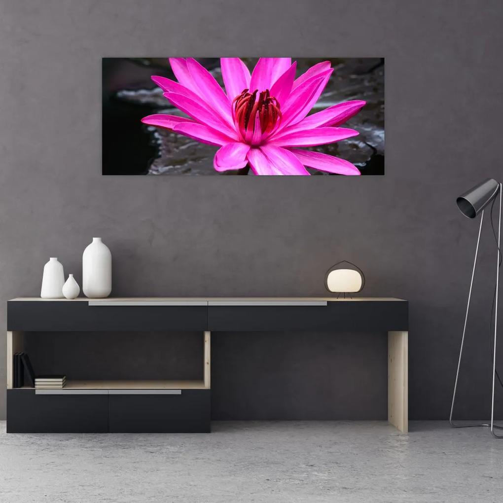 Tablou - floarea roz (120x50 cm), în 40 de alte dimensiuni noi