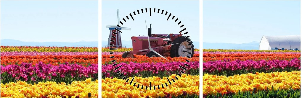 Tablou cu farma de lalele (cu ceas) (90x30 cm)