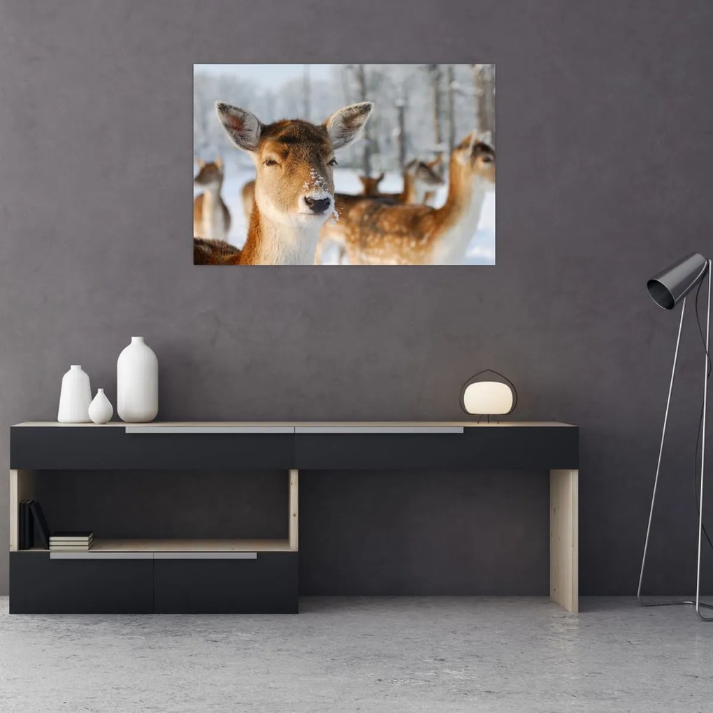 Tablou - Cerbi (90x60 cm)