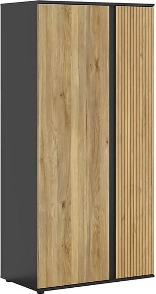 Dulap LUEN, stejar/negru, PAL laminat, cu 2 usi, 95x55x196 cm