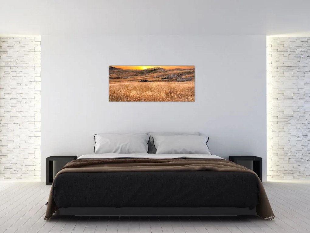 Tablou cu câmp (120x50 cm)
