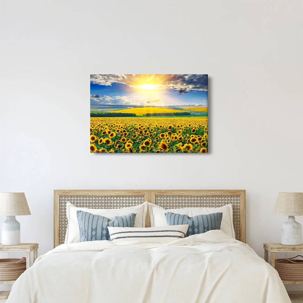 Tablou - Câmp cu floarea soarelui (90x60 cm)