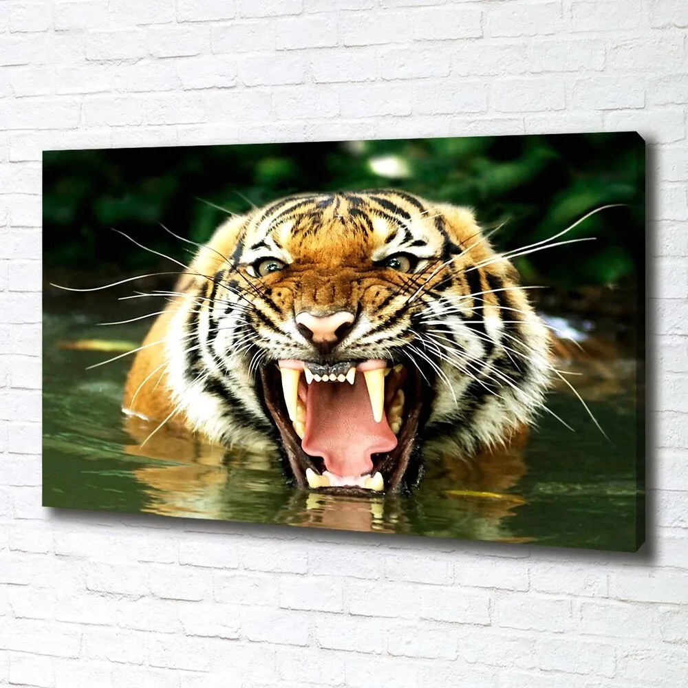 Tablou canvas Hohotitor tigru