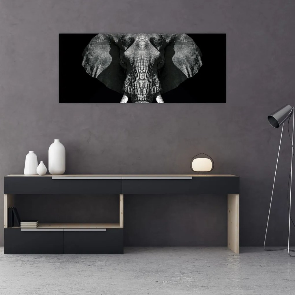 Tablou - Elefant pe fundal negru (120x50 cm)