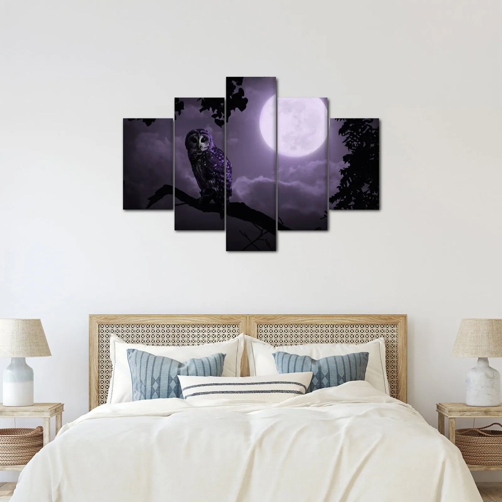 Tablou - Bufniță de noapte, violet (150x105 cm)