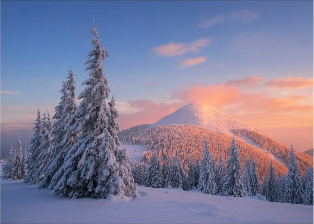 Tablou pe sticlă - Peisaj de iarnă (70x50 cm)