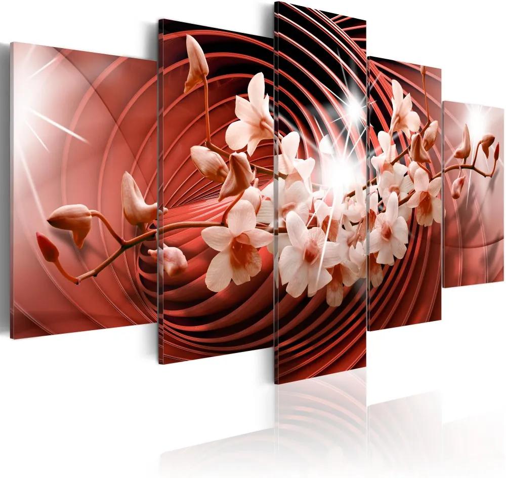 Tablou Bimago - Scarlet Carousel 100x50 cm