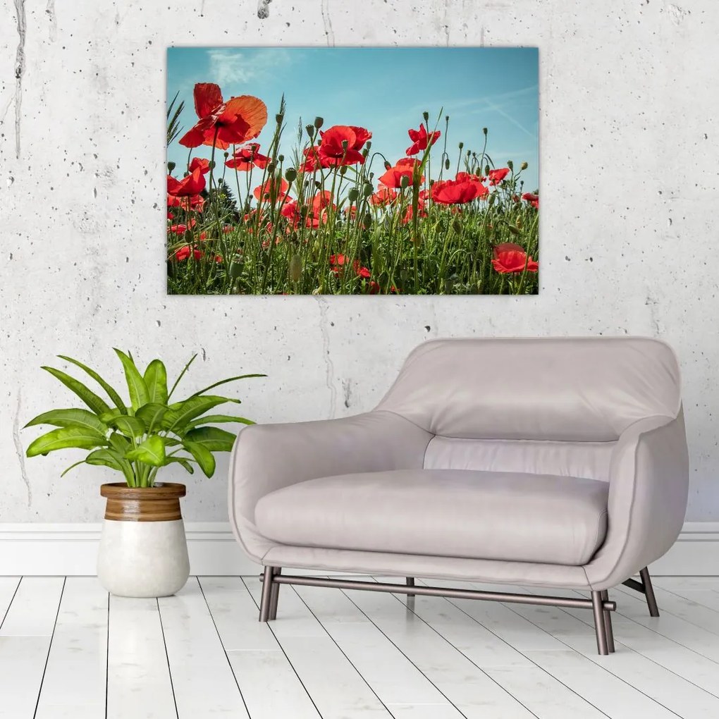 Tablou - Pe câmpul cu maci (90x60 cm)